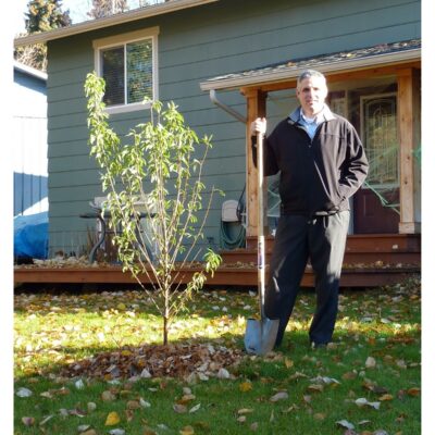 Cake Anchorage Brendan