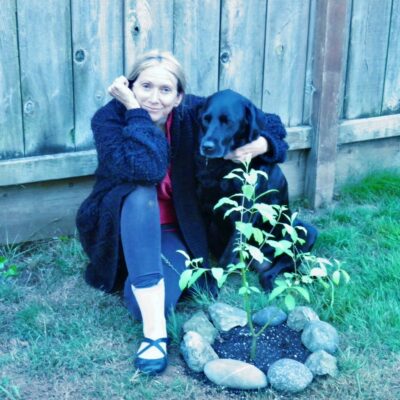 Cake Arcata Mairead 2026