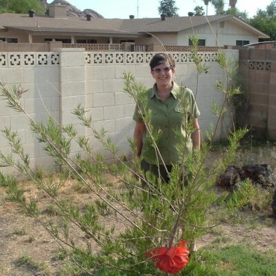 Cakeforest Lasvegas Beverly