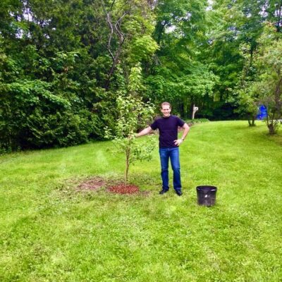Cakeforest Shelburne Miles