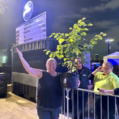 Cakeforest Chicago Beth