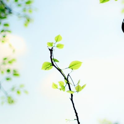 Name Gravity 6v149dcmag4 Unsplash