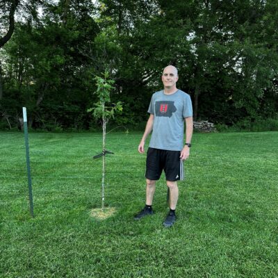 Cakeforest Cedarrapids