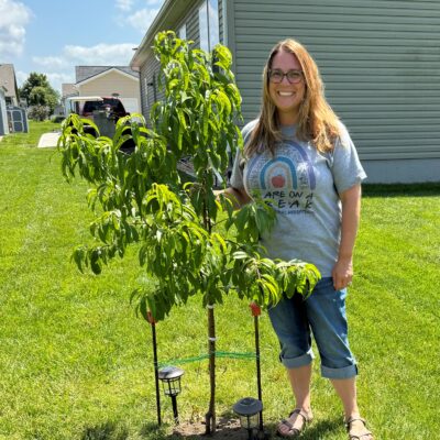 Cake Kansascity 51424