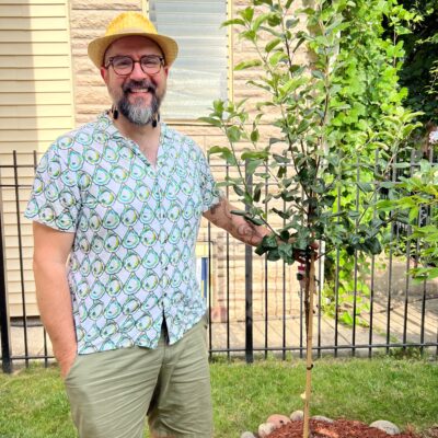 Cakeforest Manhattan Darick