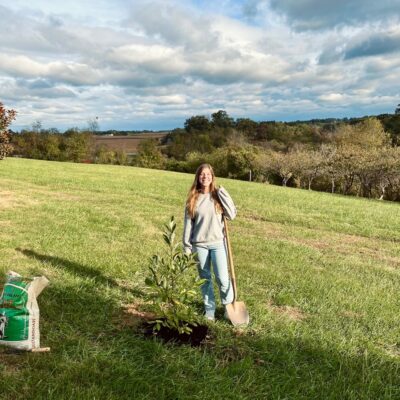Cakeforest Andrea Baltimore